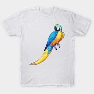 Cozy Macaw T-Shirt